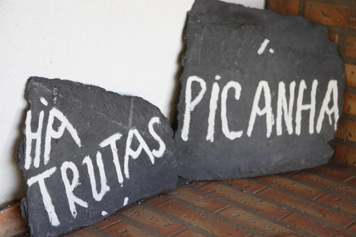 Mira Guincho House With Sea View And Garden, Cascais Holiday home Alcabideche