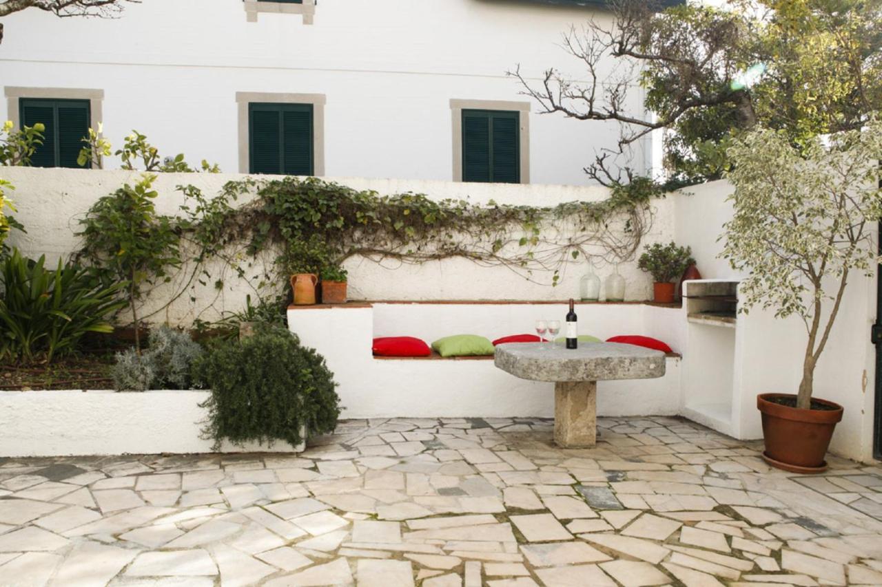 Cushy With Garden In Appartement