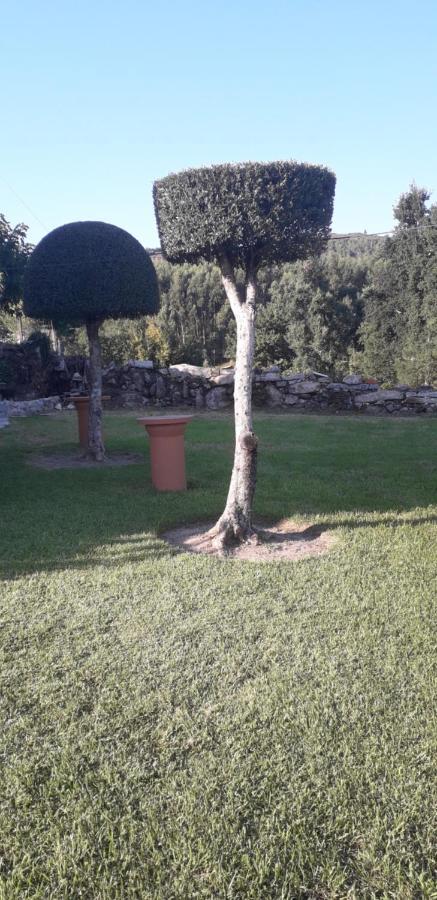 Vivenda Agostinho Holiday home Arcos de Valdevez