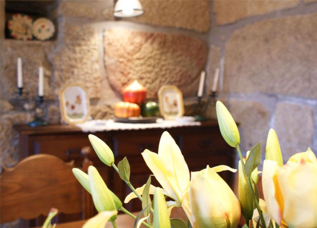 Country house Quinta De Canhoes