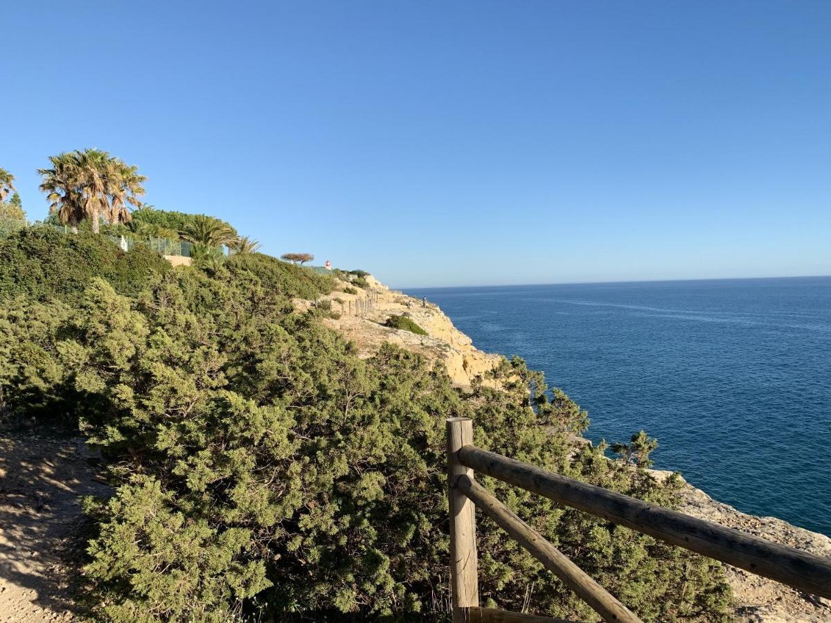 Charming House In Carvoeiro + Pool Сasa de vacaciones *