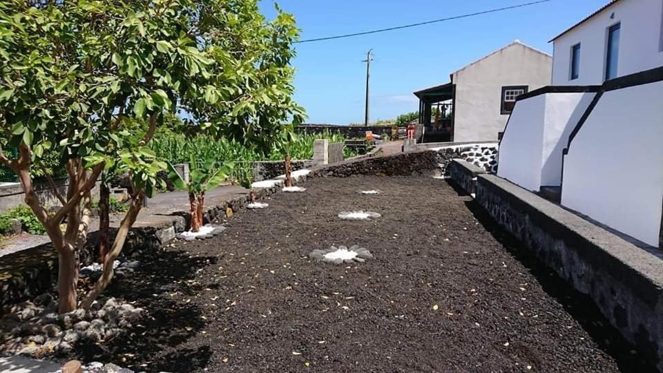 Apartment Azores Black Mountain House, Estudio E T2 Ilha Do Pico *