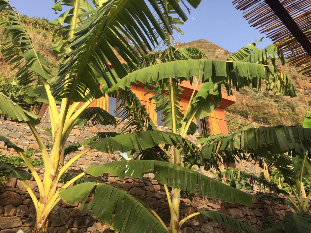 Mango House Arco da Calheta (Madeira)