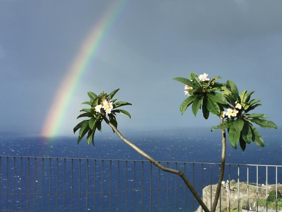 Apartment Casa Atlantico Tropischer Seitenfluegel Ribeira Brava