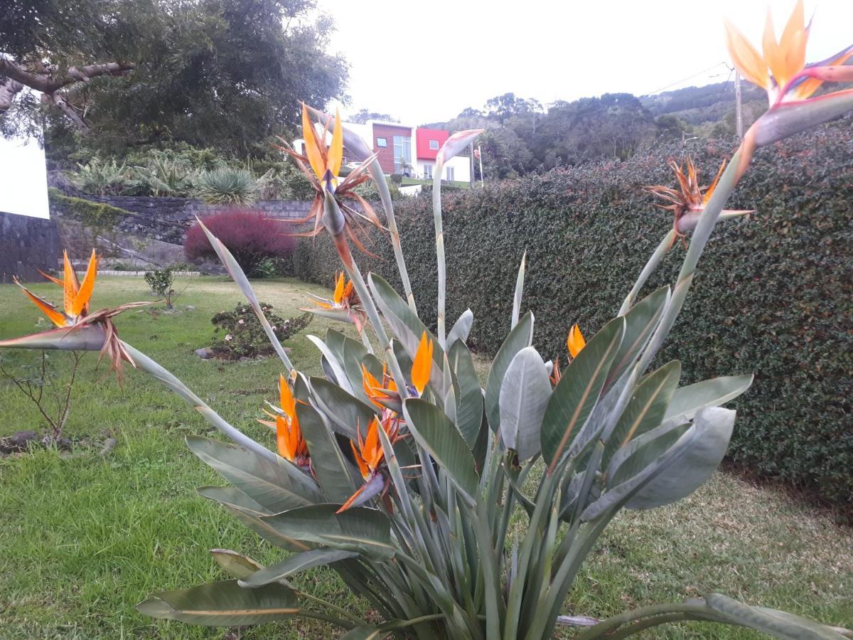 Casa Da Ribeira Bed & Breakfast