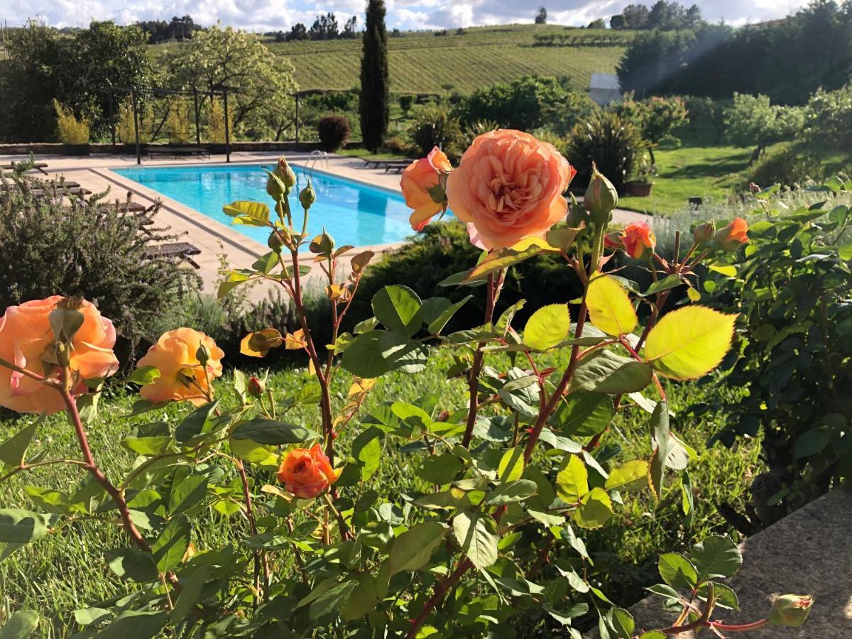 Quinta Da Pereira E Enricas Agro-turismo Guest house 2*