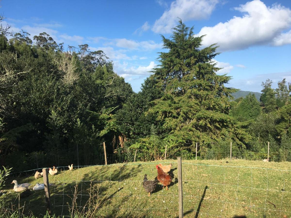 Bio Quinta Do Pantano, Agro Turismo Estadia no rancho Santo Antonio da Serra