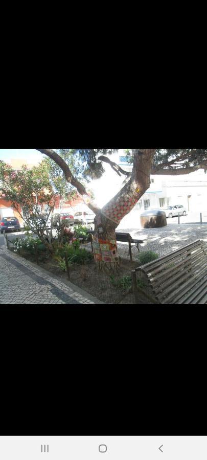 Pacifica Guest house
