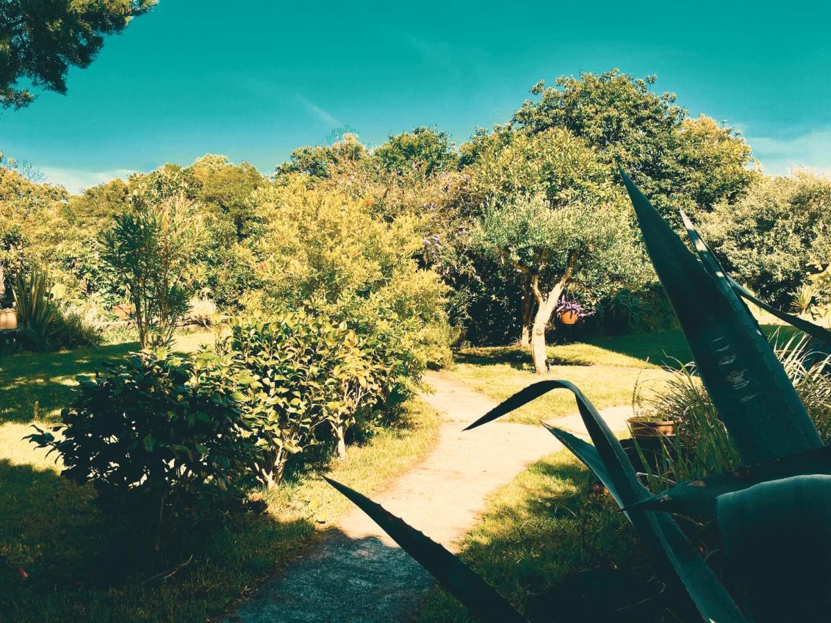 Holiday home Quinta Almas