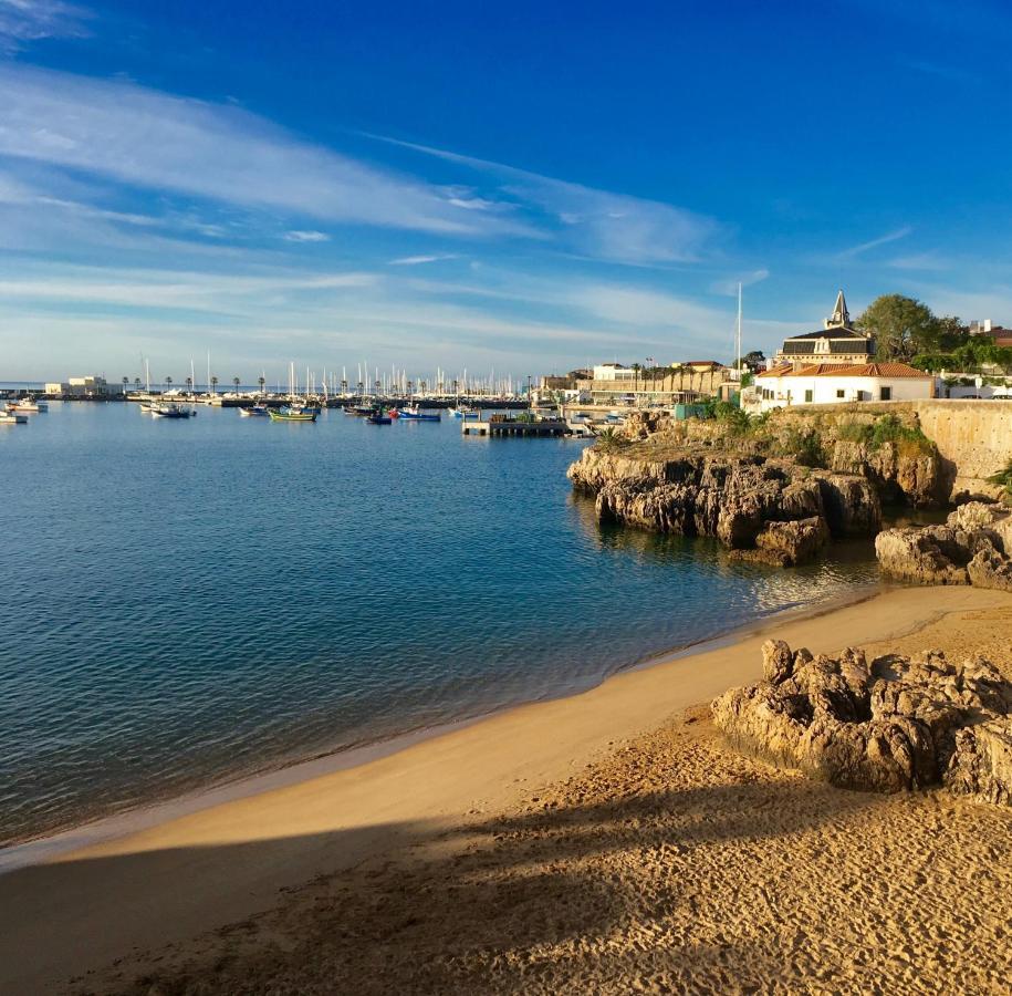 Ninho Salino * Cascais