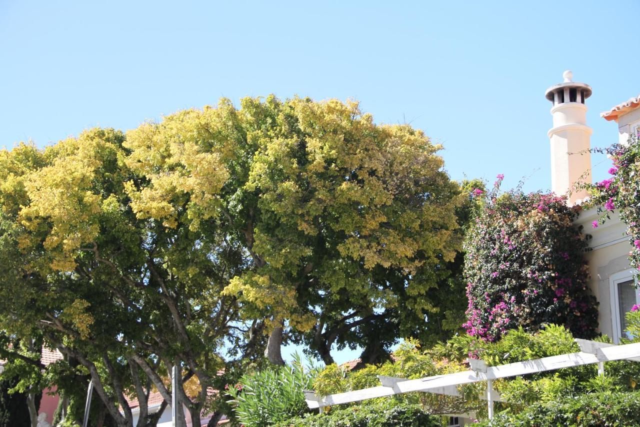 Guest house Ninho Salino Cascais