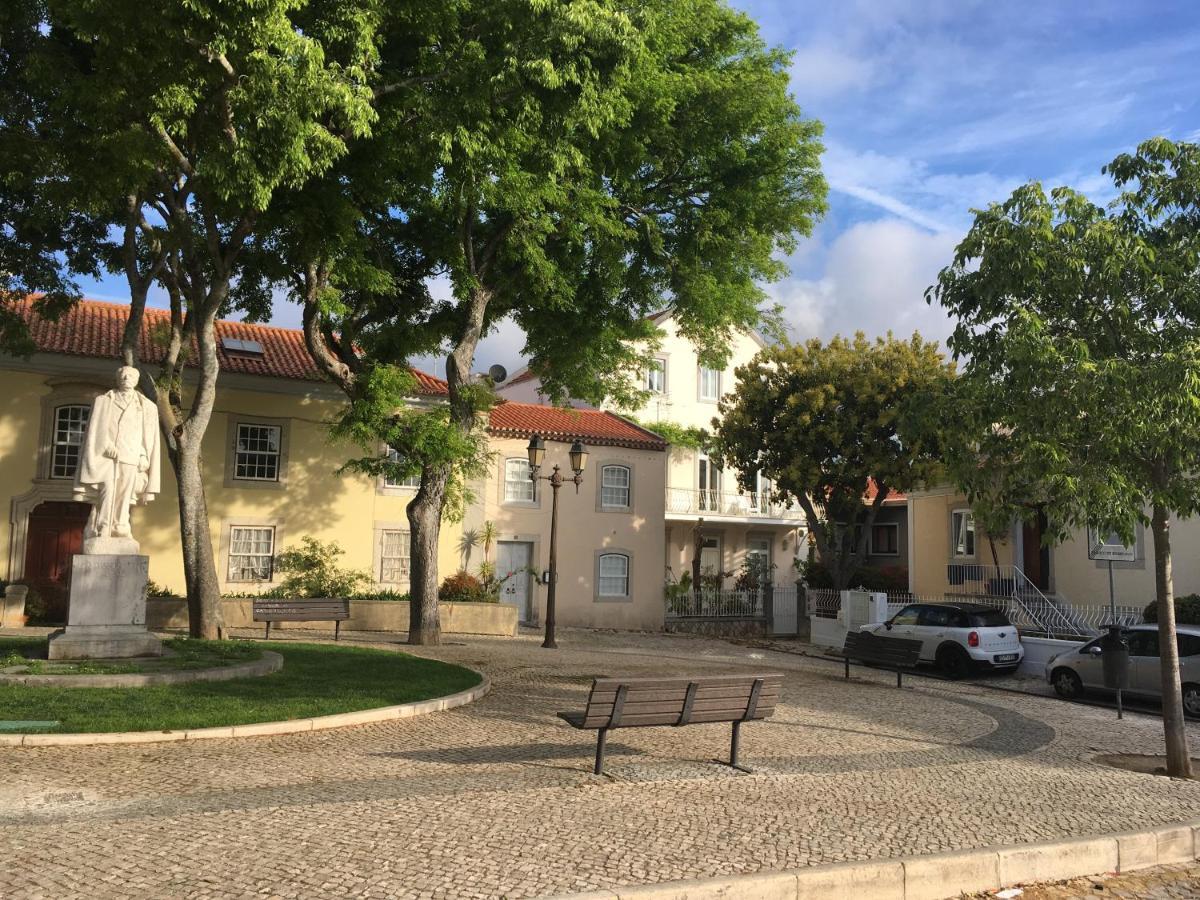 Guest house Ninho Salino