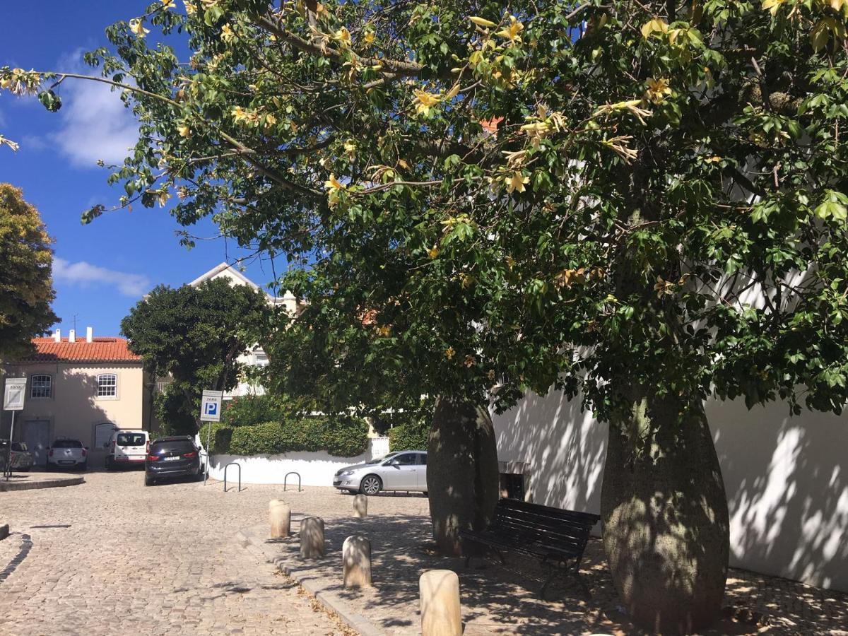 Ninho Salino Guest house *