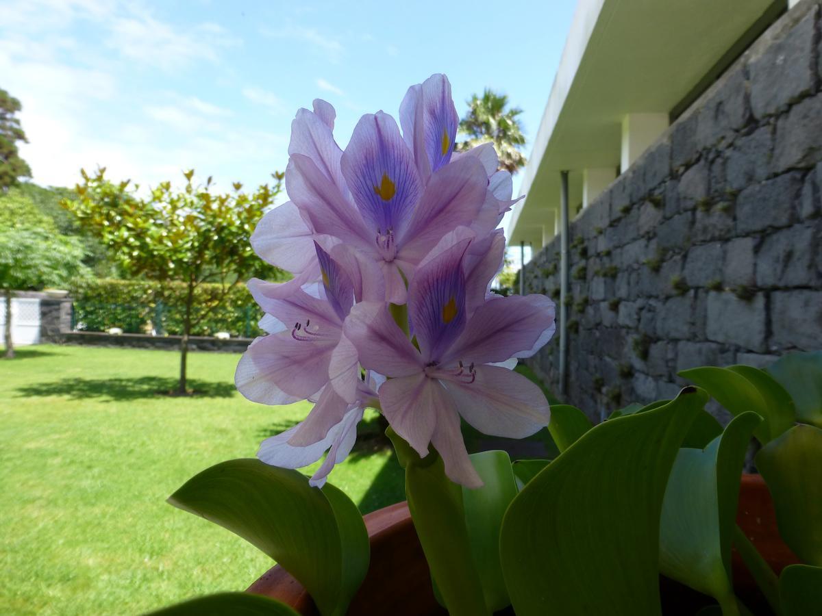 Quinta Do Vale Country house *