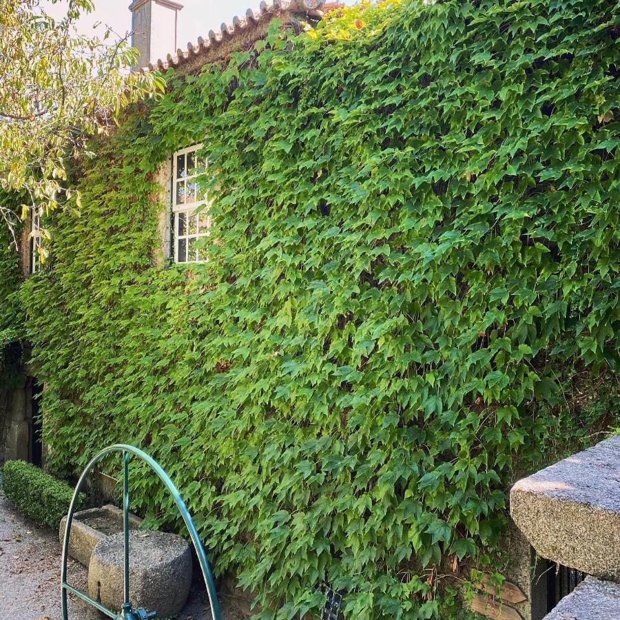 Casa Dos Barros Winery By Vintage Theory Sabrosa