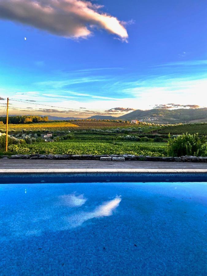 Casa Dos Barros Winery By Vintage Theory * Sabrosa