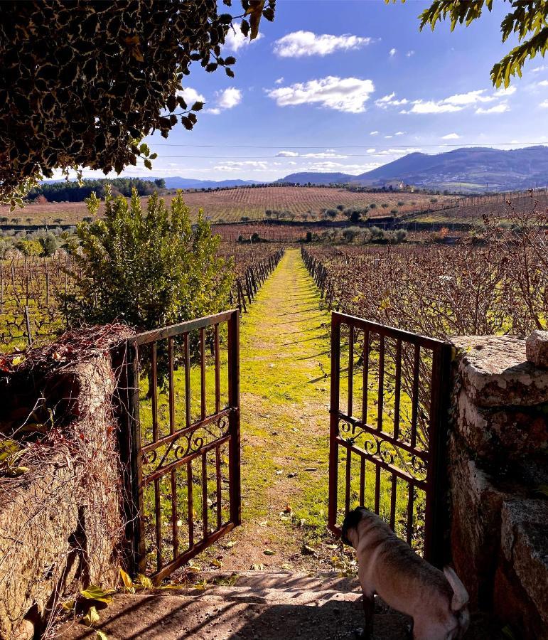 Casa Dos Barros Winery By Vintage Theory Sabrosa