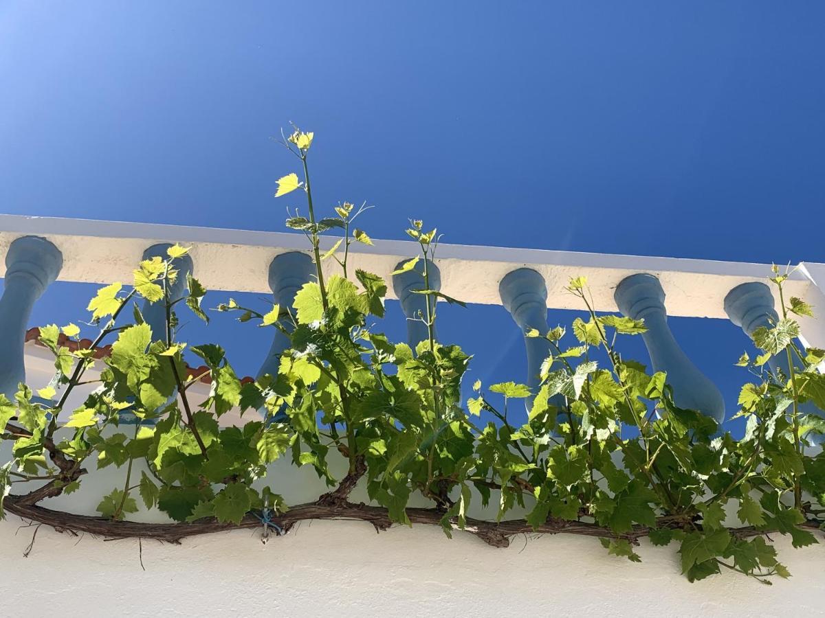 Charming House In Carvoeiro + Pool