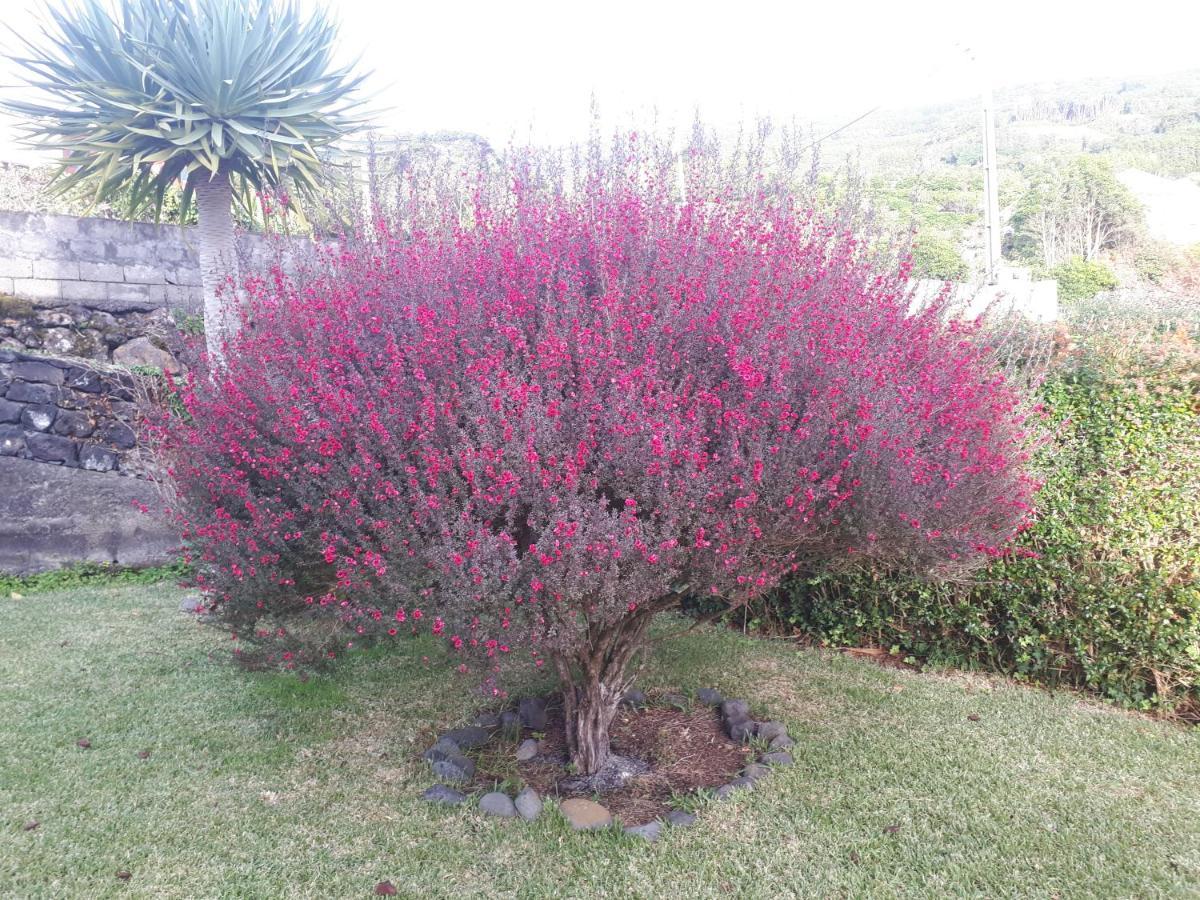 Casa Da Ribeira Bed & Breakfast Lajes do Pico