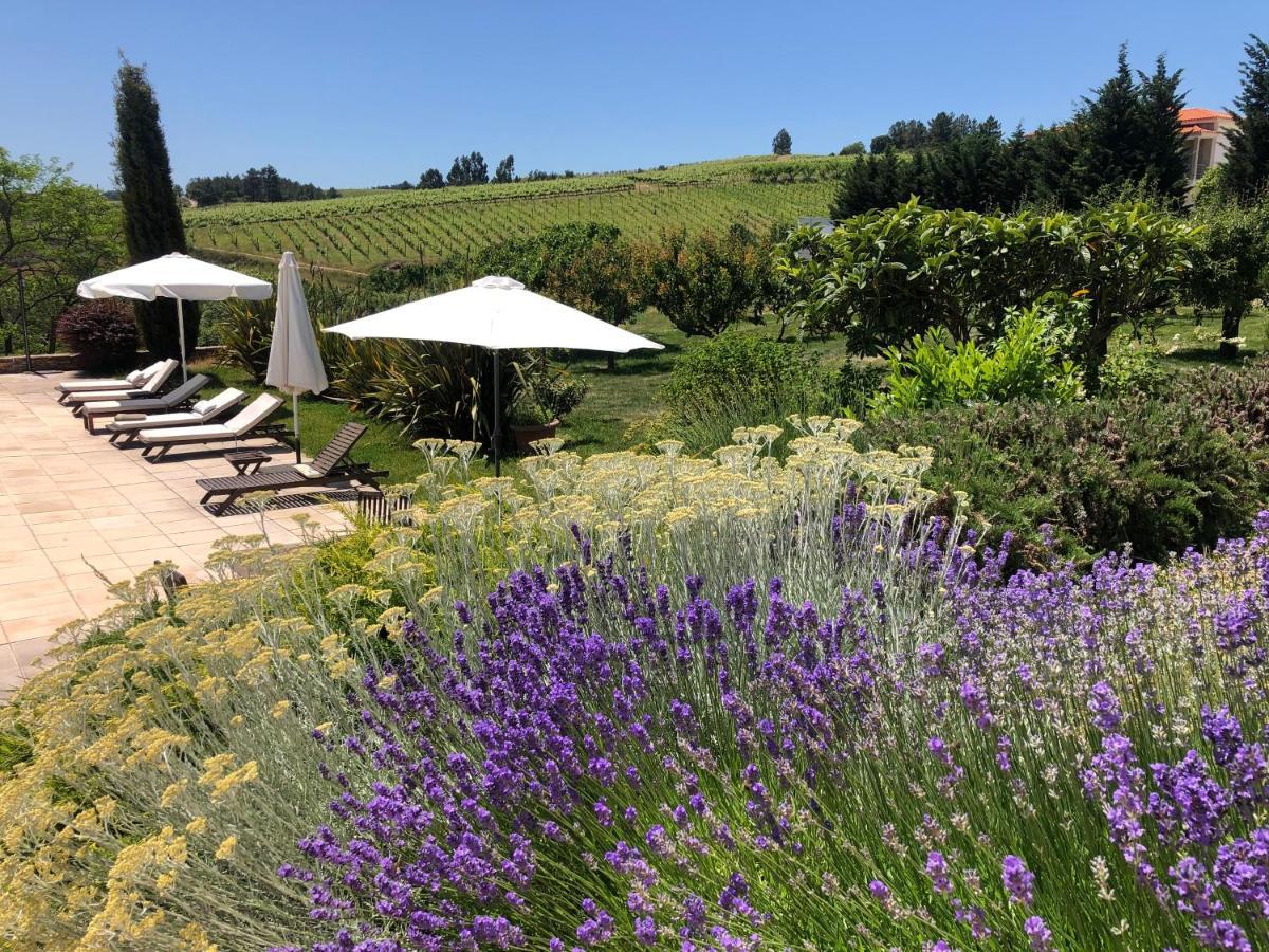 Quinta Da Pereira E Enricas Agro-turismo Casa de hóspedes