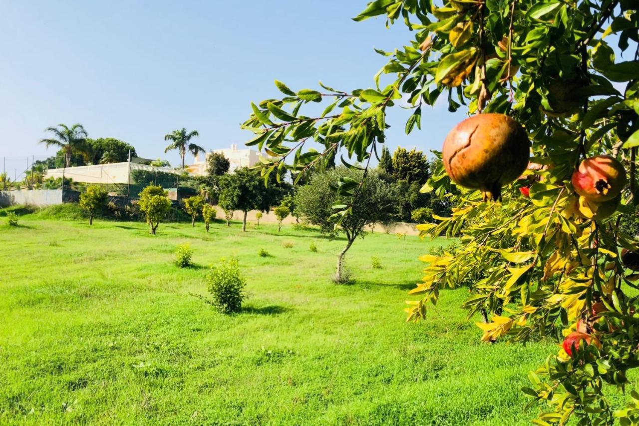 Paraiso - Luxury Perfect For Families! Carvoeiro (Lagoa)