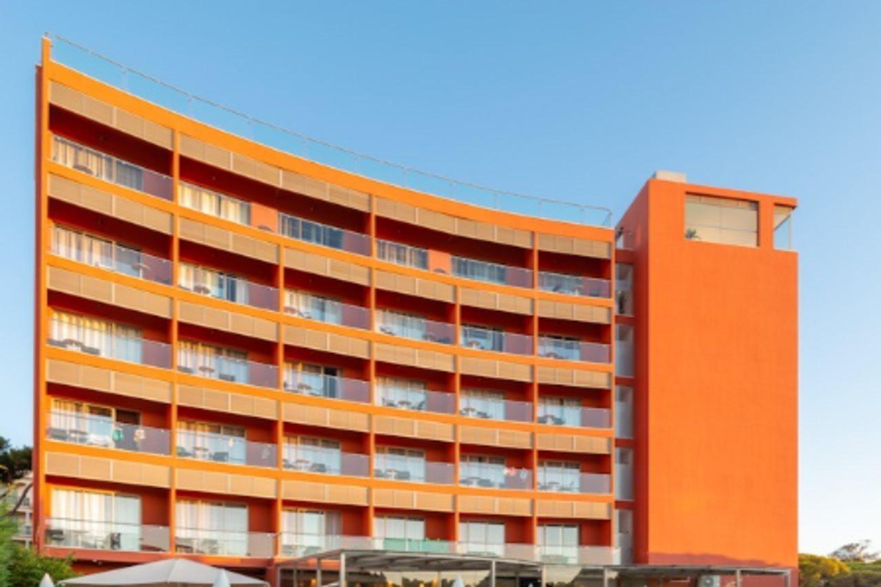 Aqua Pedra Dos Bicos Design - Adults Friendly