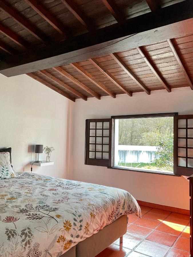 Super Mario - Casa Dos Moinhos * Porto Formoso