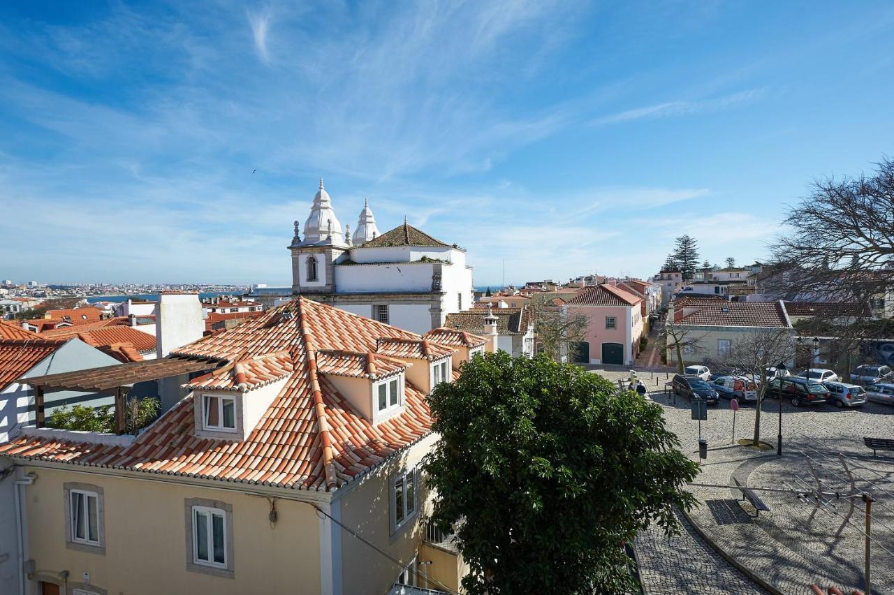 Ninho Salino * Cascais