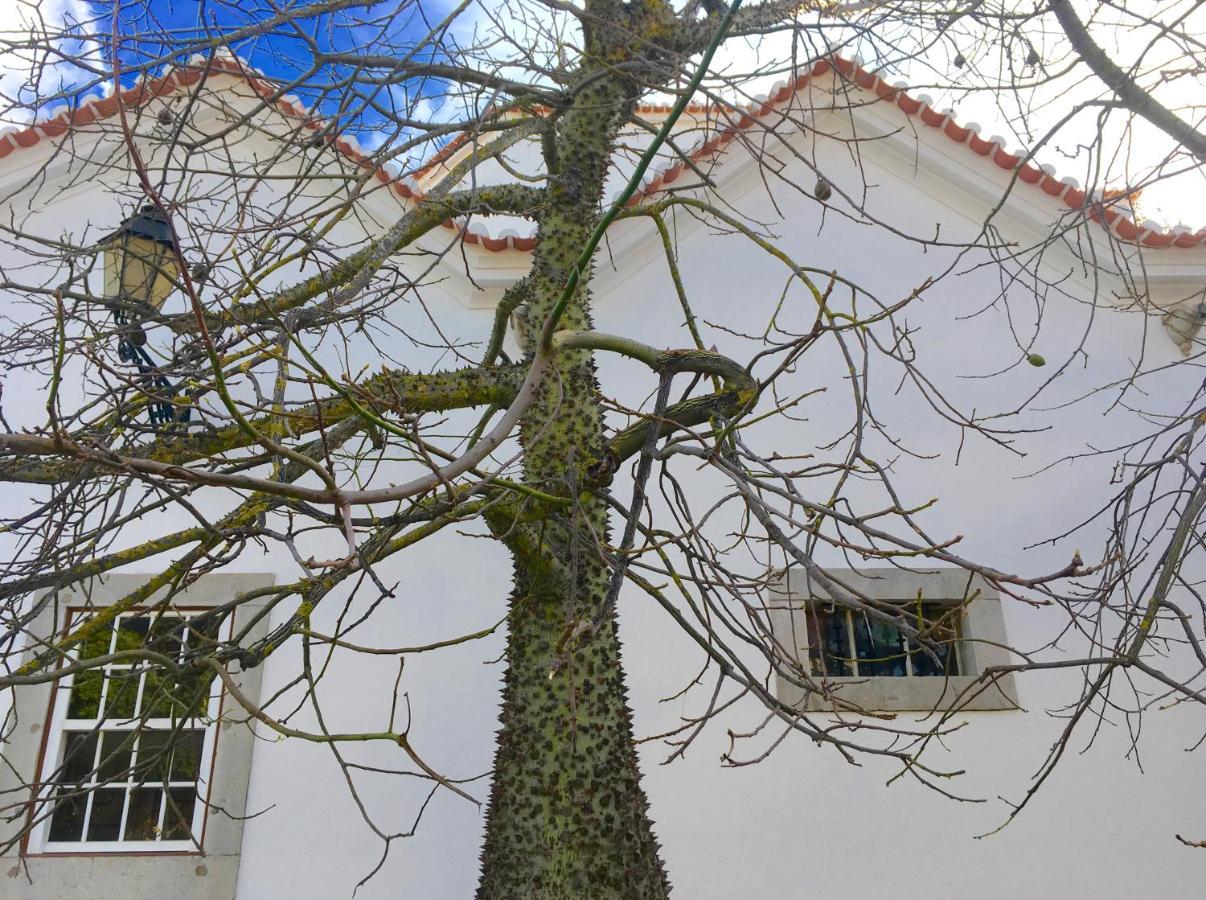 Ninho Salino Guest house Cascais