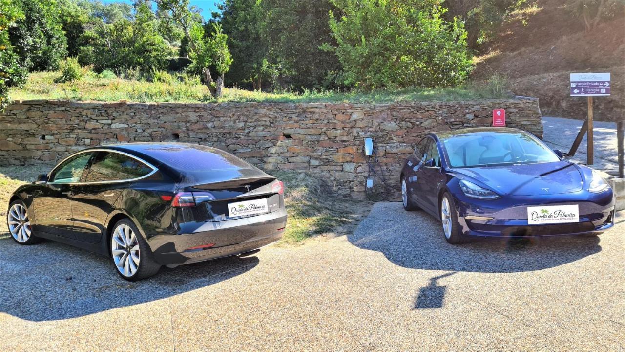 Quinta Da Palmeira - Retreat & Cerdeira
