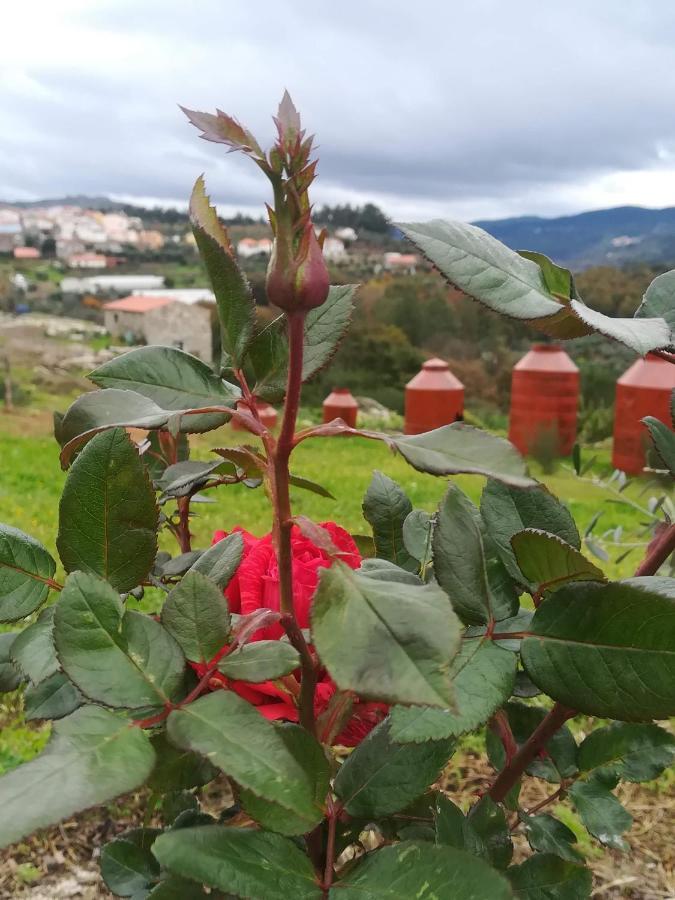 Eiras Do Dao