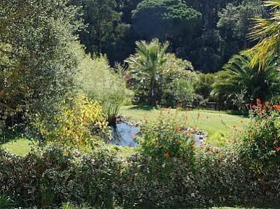 Encosta Das Freiras Guest house 4*