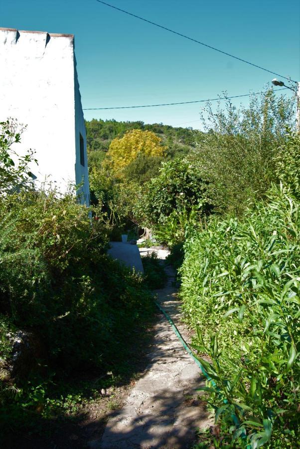 Chalet Terrafazbem