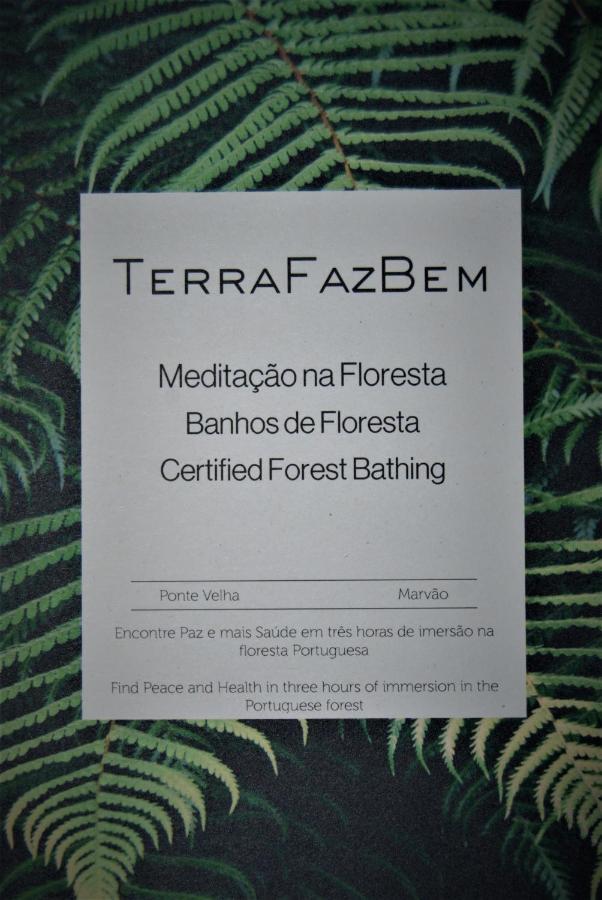 Chalet Terrafazbem *