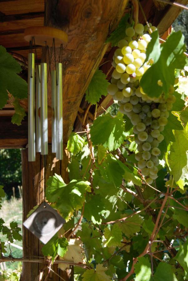 Terrafazbem Chalet Marvao (Portalegre)