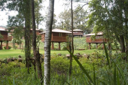 Holiday park Quinta Eiras Santo Antonio da Serra