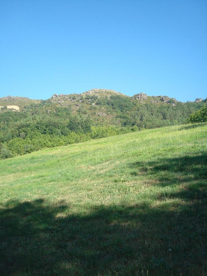Holiday home Casa Do Palheiro Montalegre