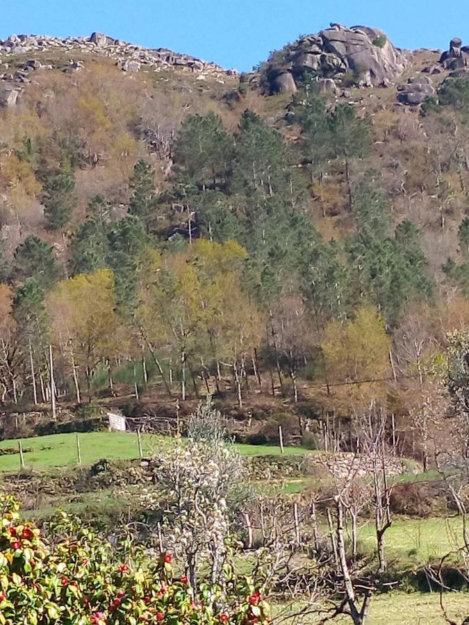 Holiday home Casa Do Palheiro Montalegre