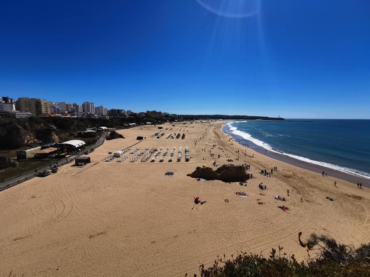 Praia Rocha Gaivota *