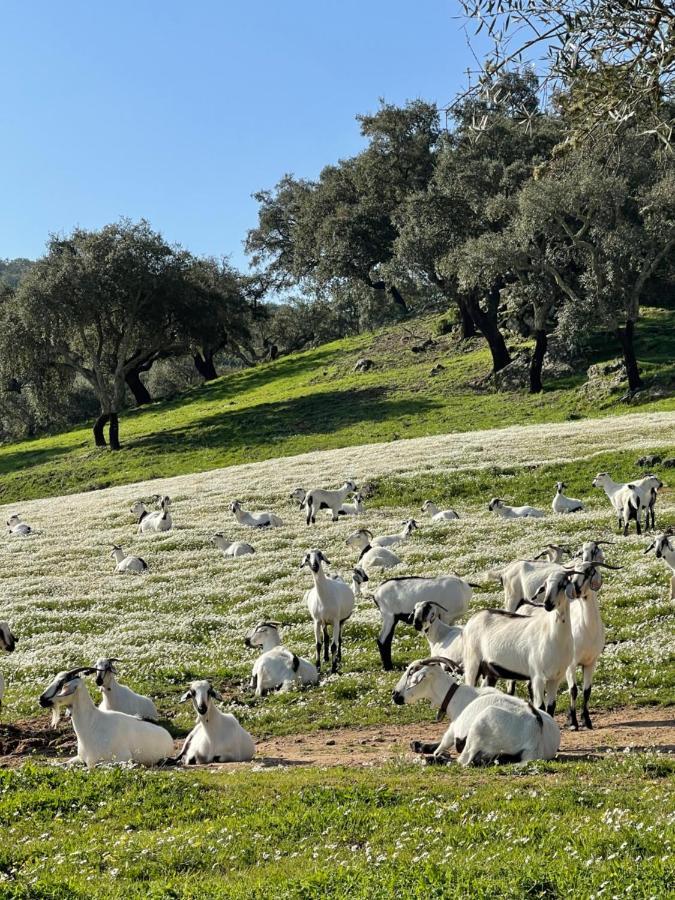 Monte Dos Pensamentos - Turismo Rural Farm stay