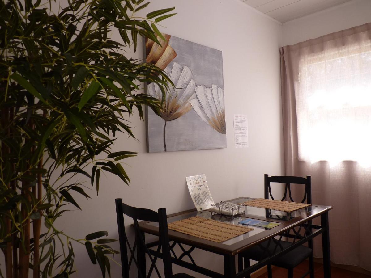 Azores Garden House - Private & - Automatic Self Check-in Appartement Ponta Delgada