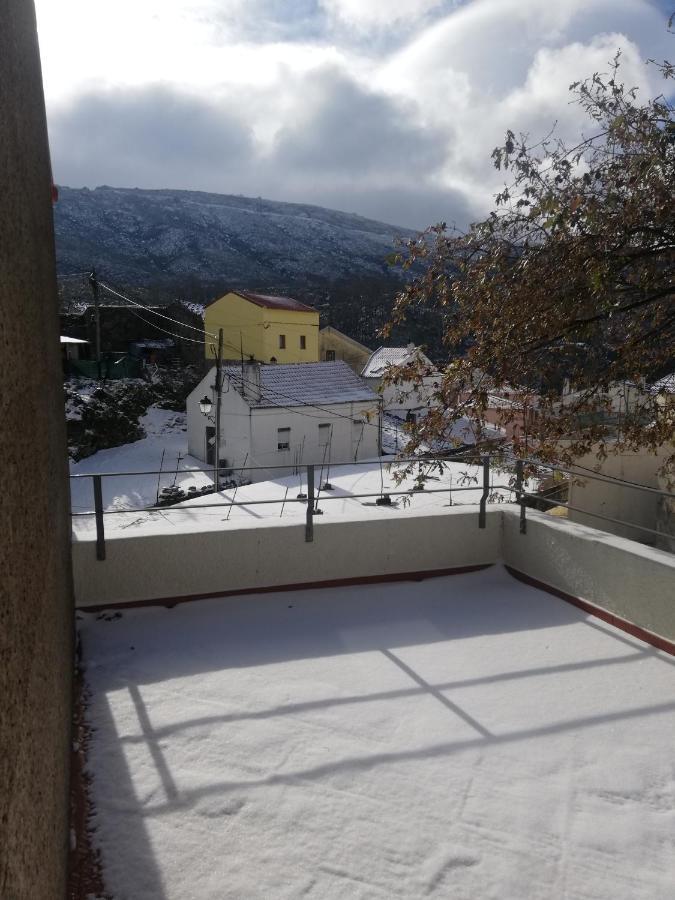 Sambuc'asa - Serra Da Estrela * Sabugueiro (Guarda)