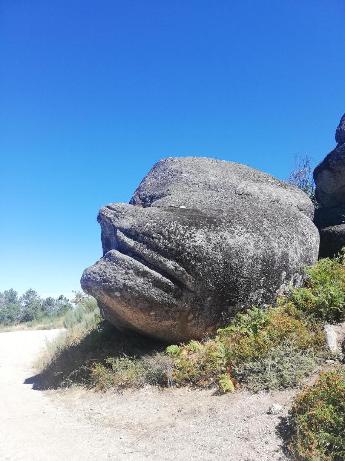Sambuc'asa - Serra Da Estrela *