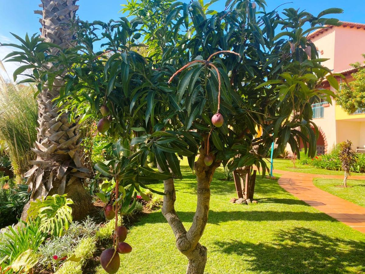 Quinta Splendida Wellness & Botanical Garden 4*