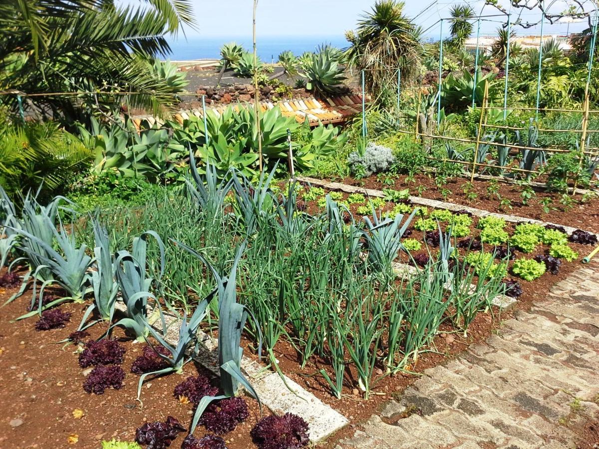 Quinta Splendida Wellness & Botanical Garden Hotel 4*