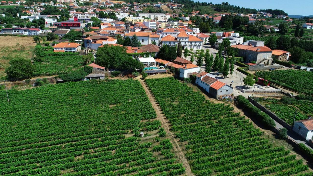 Casa Dos Barros Winery By Vintage Theory *