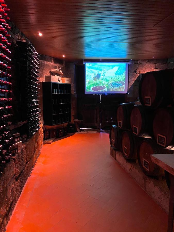 Casa Dos Barros Winery By Vintage Theory * Sabrosa