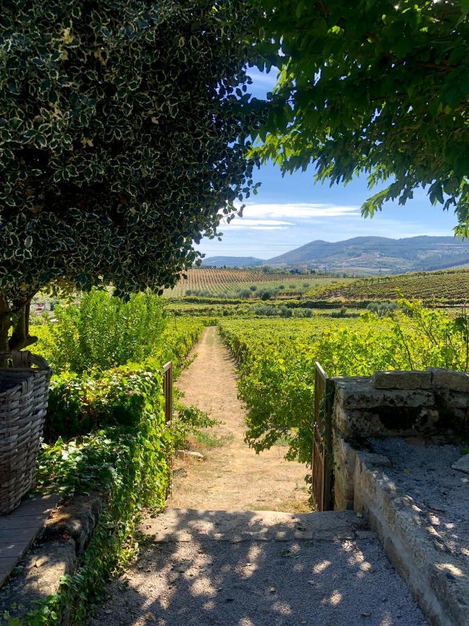 Casa Dos Barros Winery By Vintage Theory Sabrosa