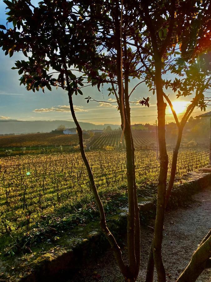 Casa Dos Barros Winery By Vintage Theory Agroturismo
