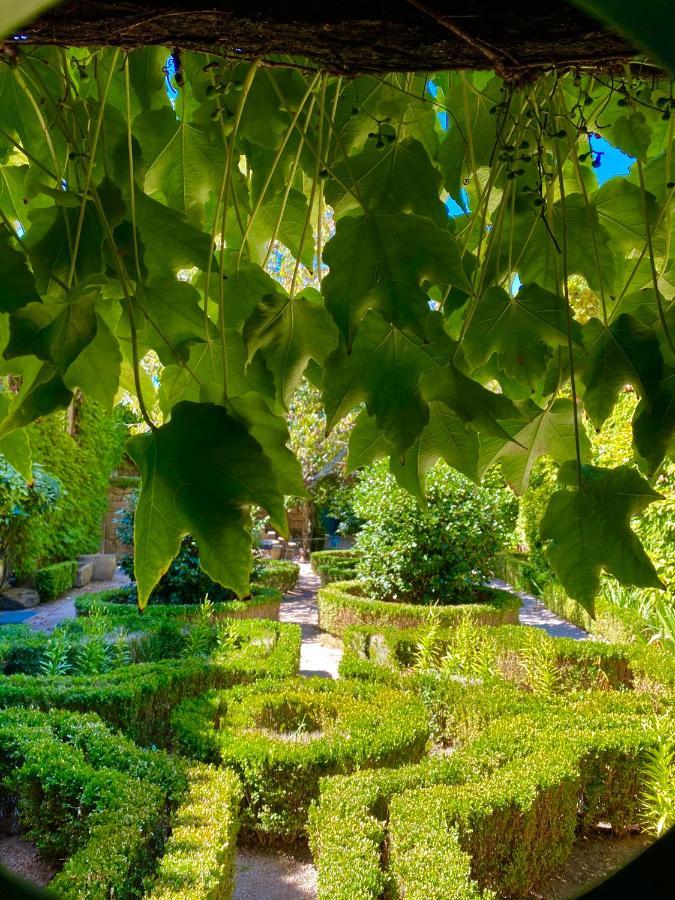 Agroturismo Casa Dos Barros Winery By Vintage Theory Sabrosa
